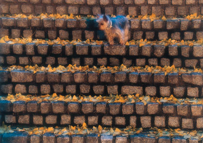 ""