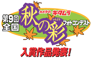 �t�̉ԃt�H�g�R���e�X�g