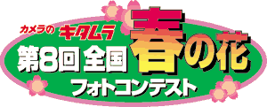�t�̉ԃt�H�g�R���e�X�g