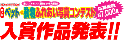 �t�̉ԃt�H�g�R���e�X�g
