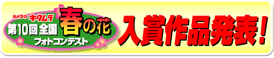 �t�̉ԃt�H�g�R���e�X�g