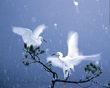 雪に舞う