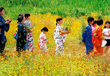 撮影地：栃木県・小山市 観晃橋下流