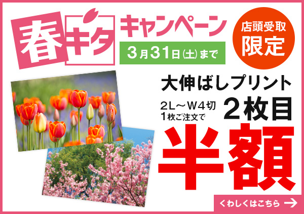 春キタキャンペーンはカメラのキタムラ 春キタキャンペーンはカメラのキタムラ