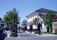 岩手県江刺市・江刺甚句まつり