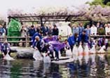 愛知県江南市・藤まつり