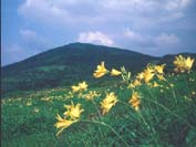 秋田県森吉町 森吉山