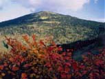 秋田県阿仁町・紅葉