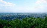 愛知県御津町・長松寺どんき