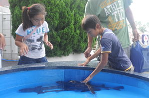 作例２触っている魚も入れて撮る