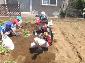 作例1 背景にマンション