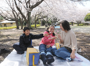 作例２お団子で花見の雰囲気を出す