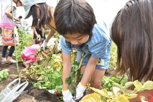 作例１手元が写らない