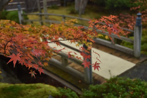 作例2 背景に橋を入れる