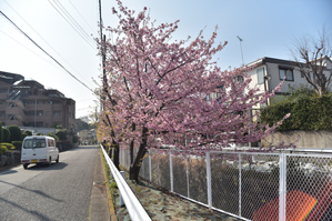 作例1 状況