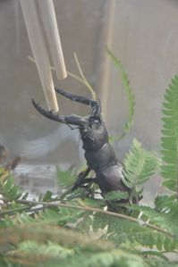 作例3 状態を起こした状態