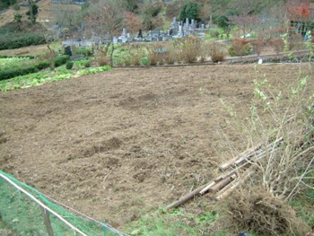 耕耘した畑