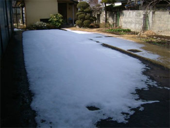 自宅の庭