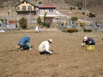 除草作業