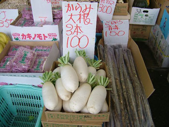辛味大根