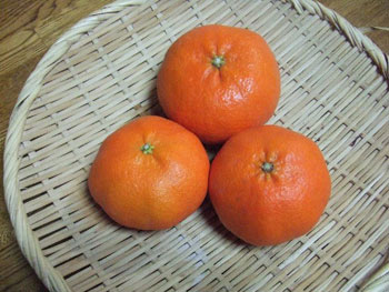 甘平
