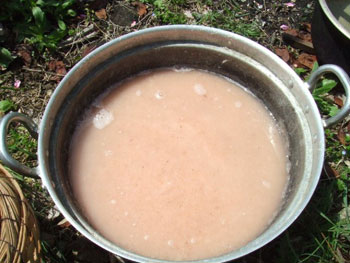 蒟蒻芋を擦る