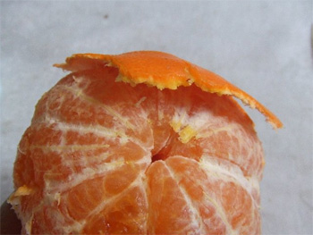 皮は薄い