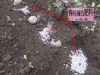 有機複合肥料