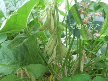 見違える