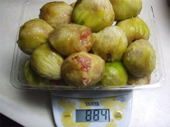 ８８４ｇ