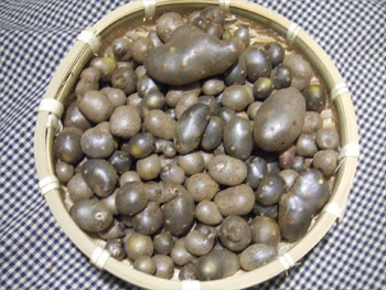 比較
