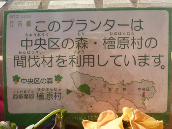 中央区の森