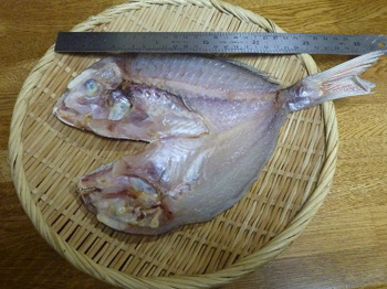 ３０ｃｍ