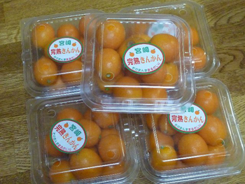金柑