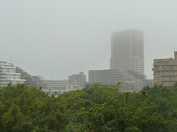秋雨前線