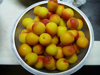 1.5Kg