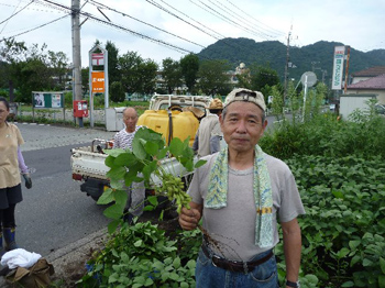三河島大豆