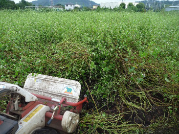 大変な作業