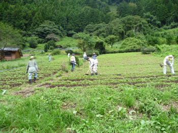 １２名