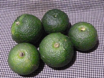 青柚