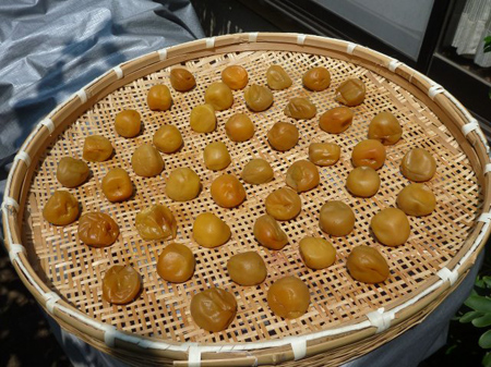 ルンルン