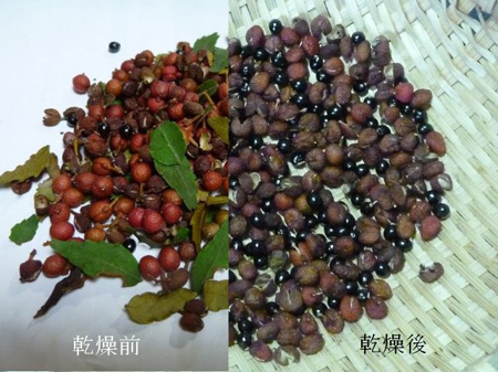 山椒