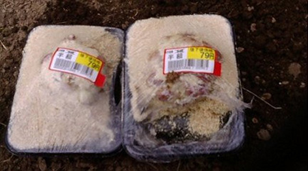 百合根