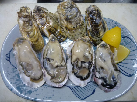 プックリ