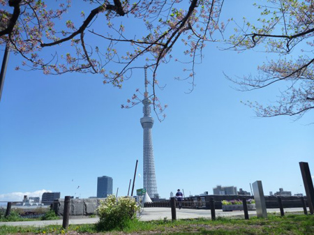 歩行者専用桜橋