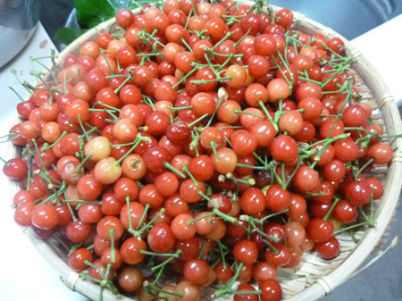 酸味