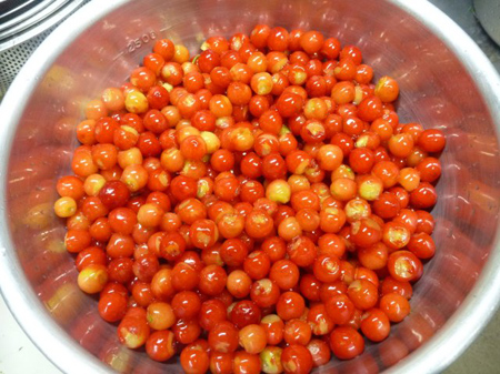 1Kg