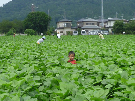 子供の背丈