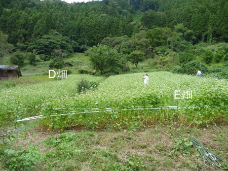 斜面