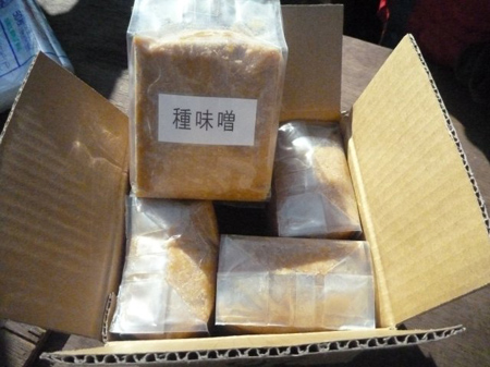 麹菌